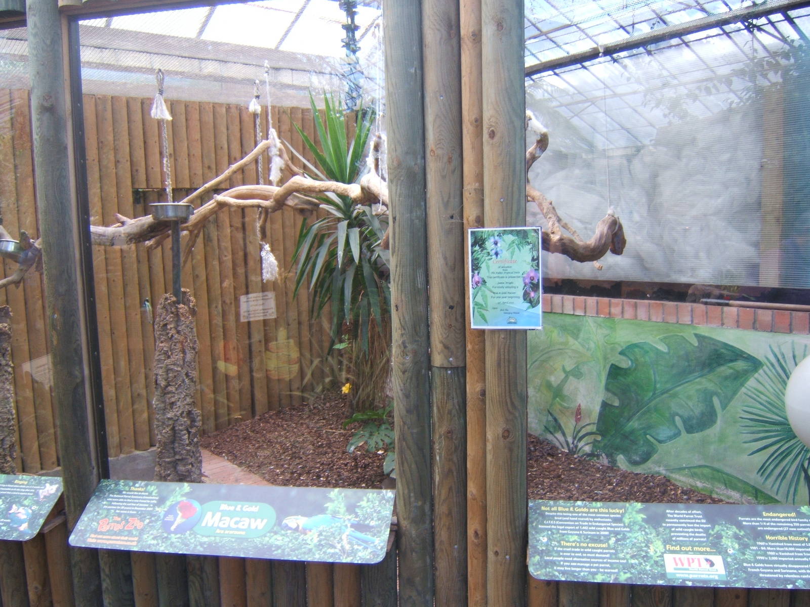 View of Blue and Yellow Macaw Aviary
