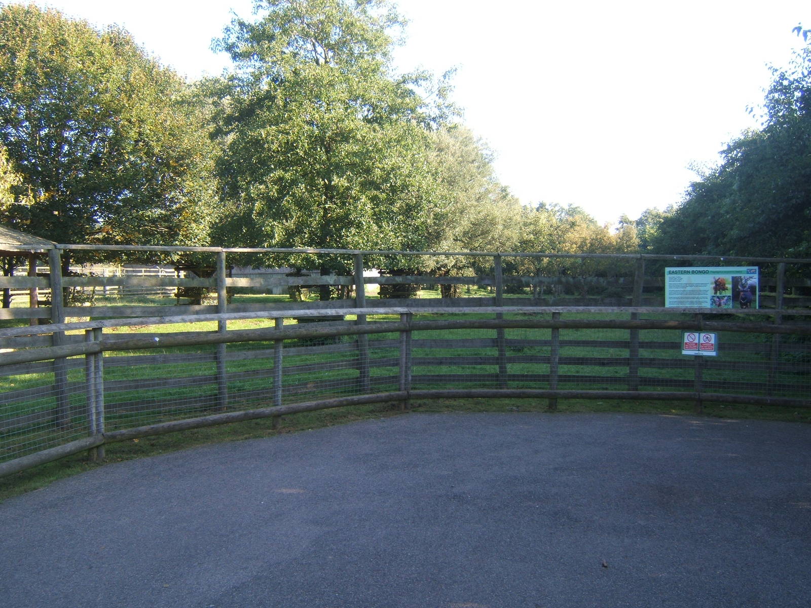 View of Bongo enclosure