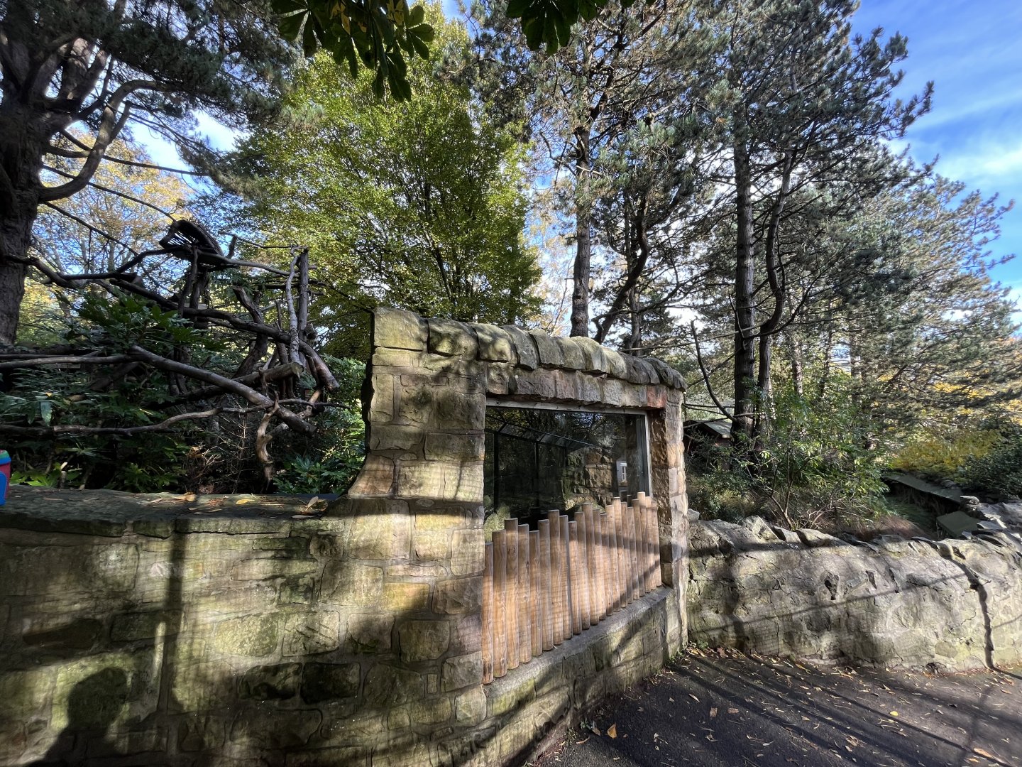 View of both red panda enclosures 17.10.24