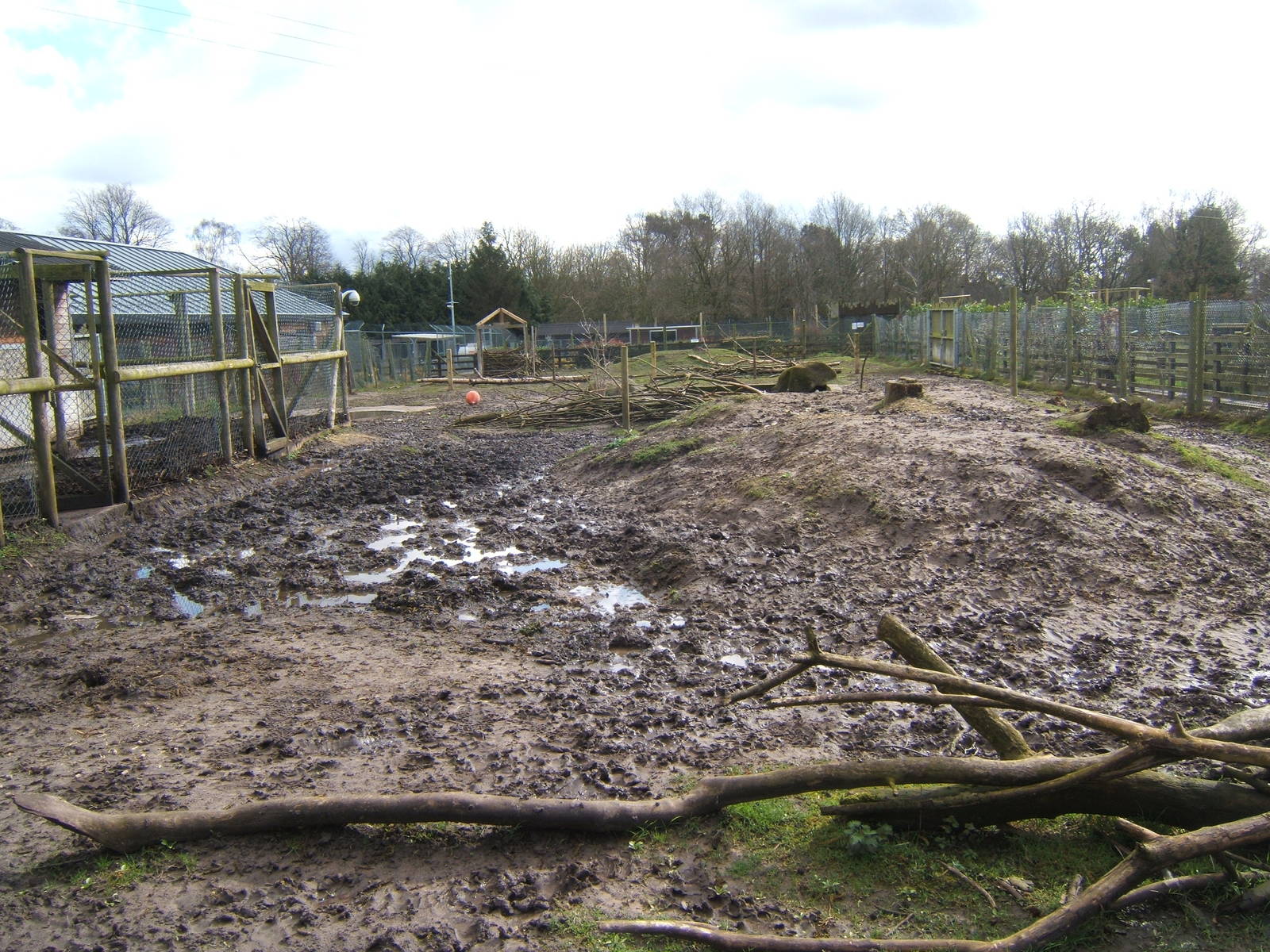 View of Brazilian Tapir and Capybara exhibit