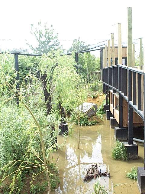 view of bridge along side of aviary.