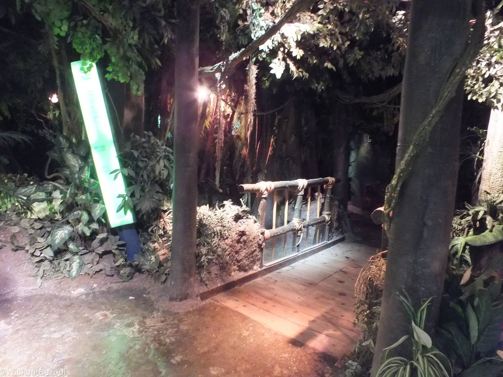 View of Bridge Over a Pond - Rainforest Section