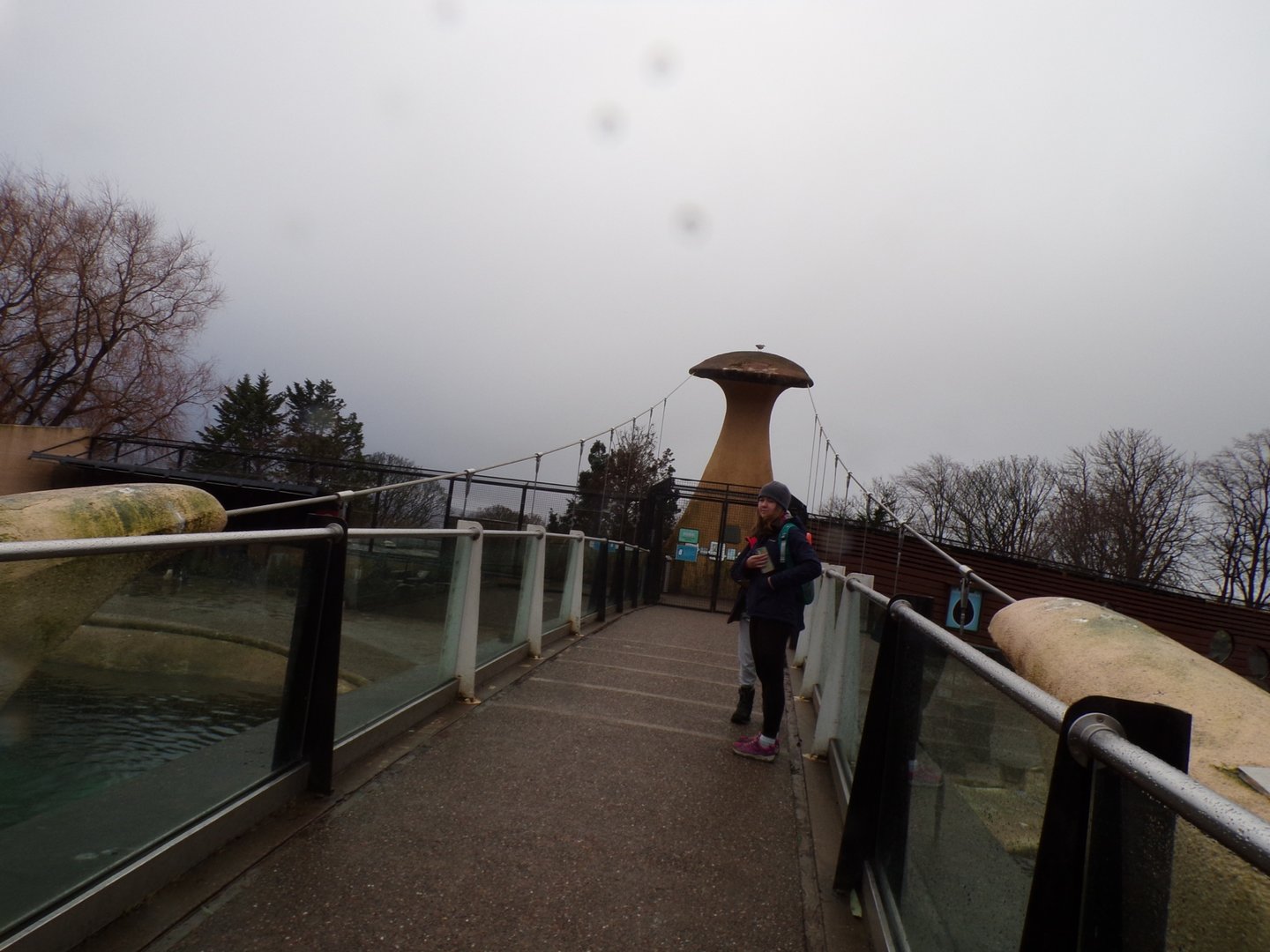 View of bridge over penguin enclosure 14.1.23