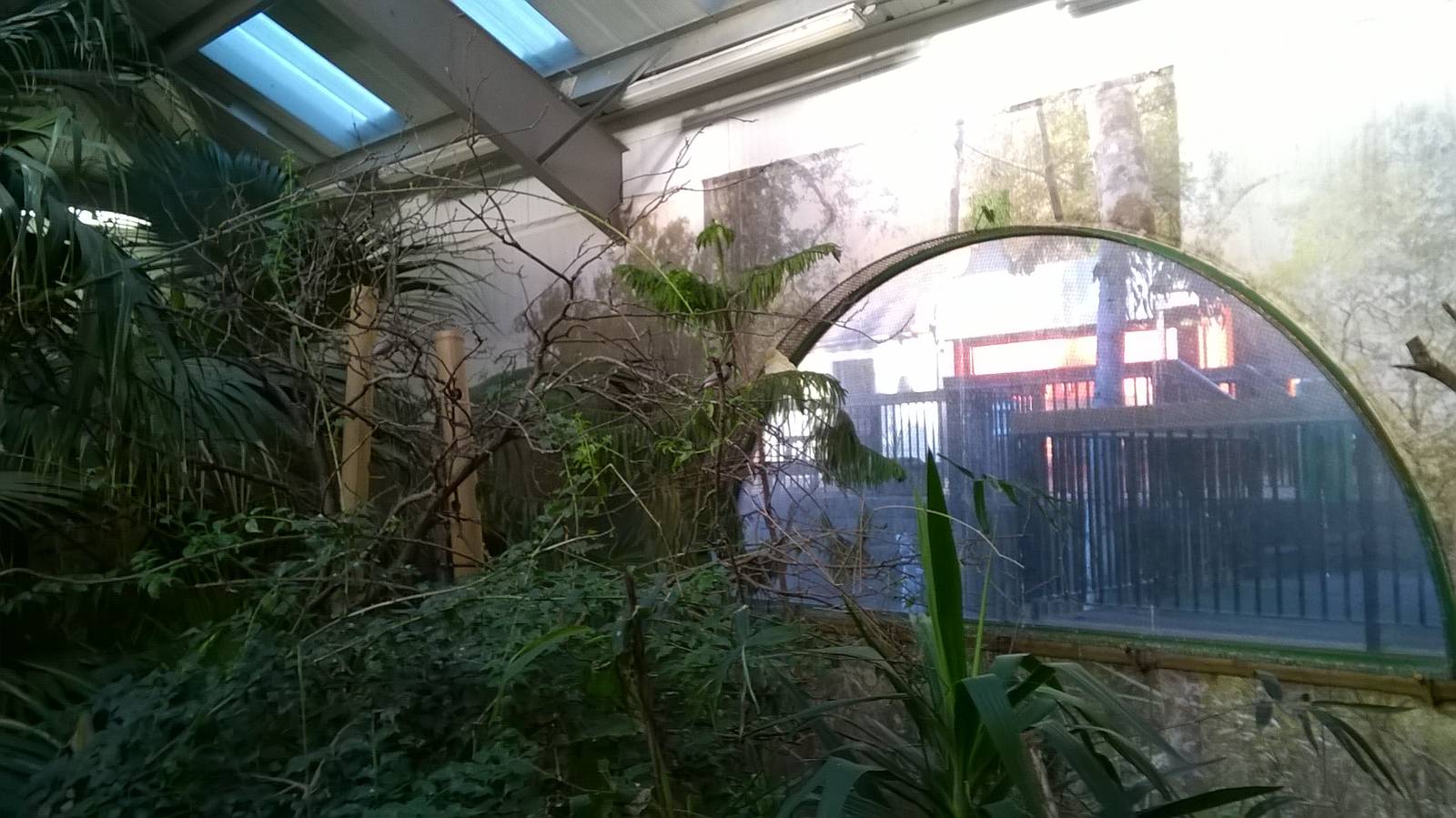 View Of Brilliant Birds