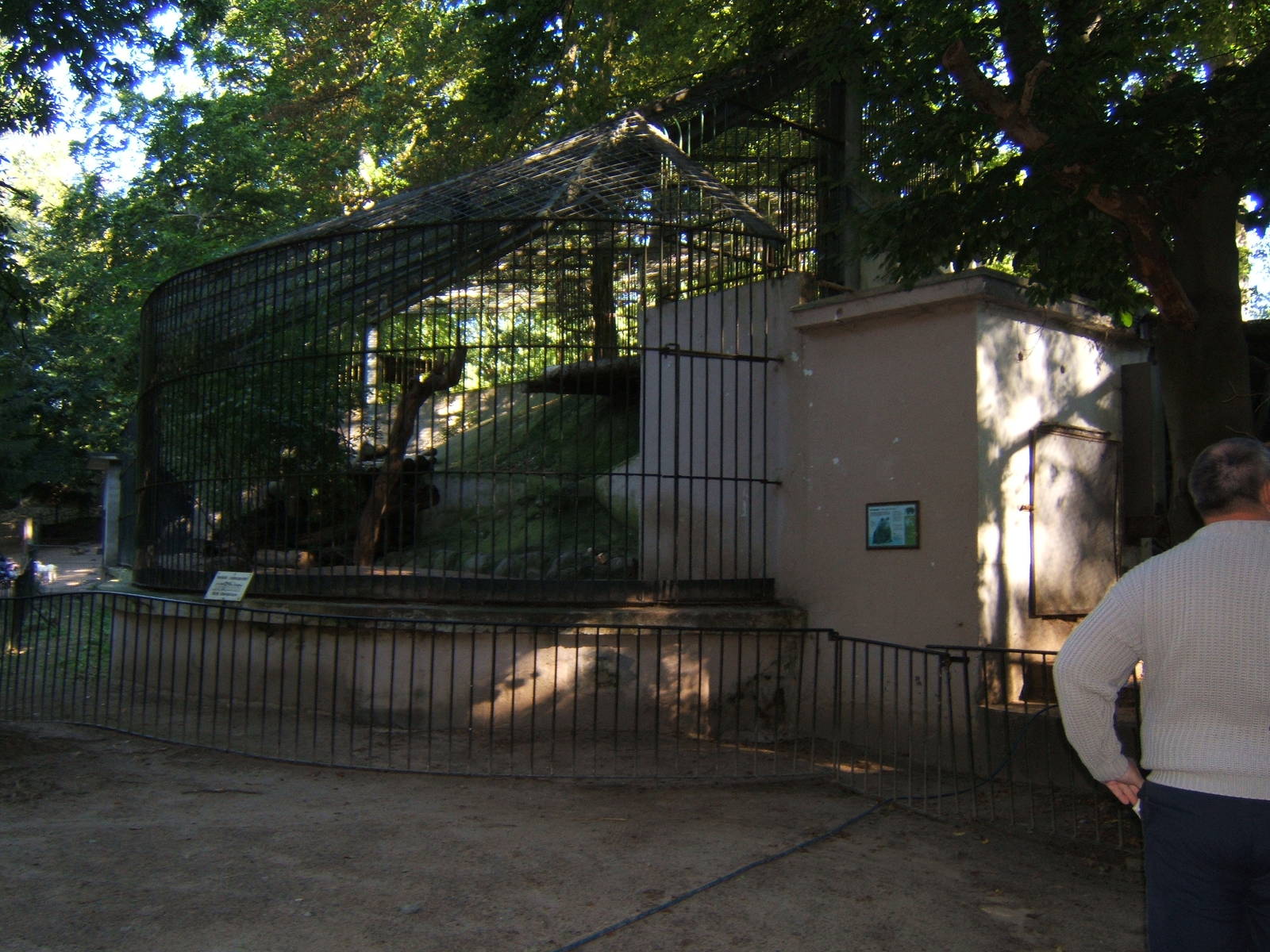 View of Brown Bear enclosure