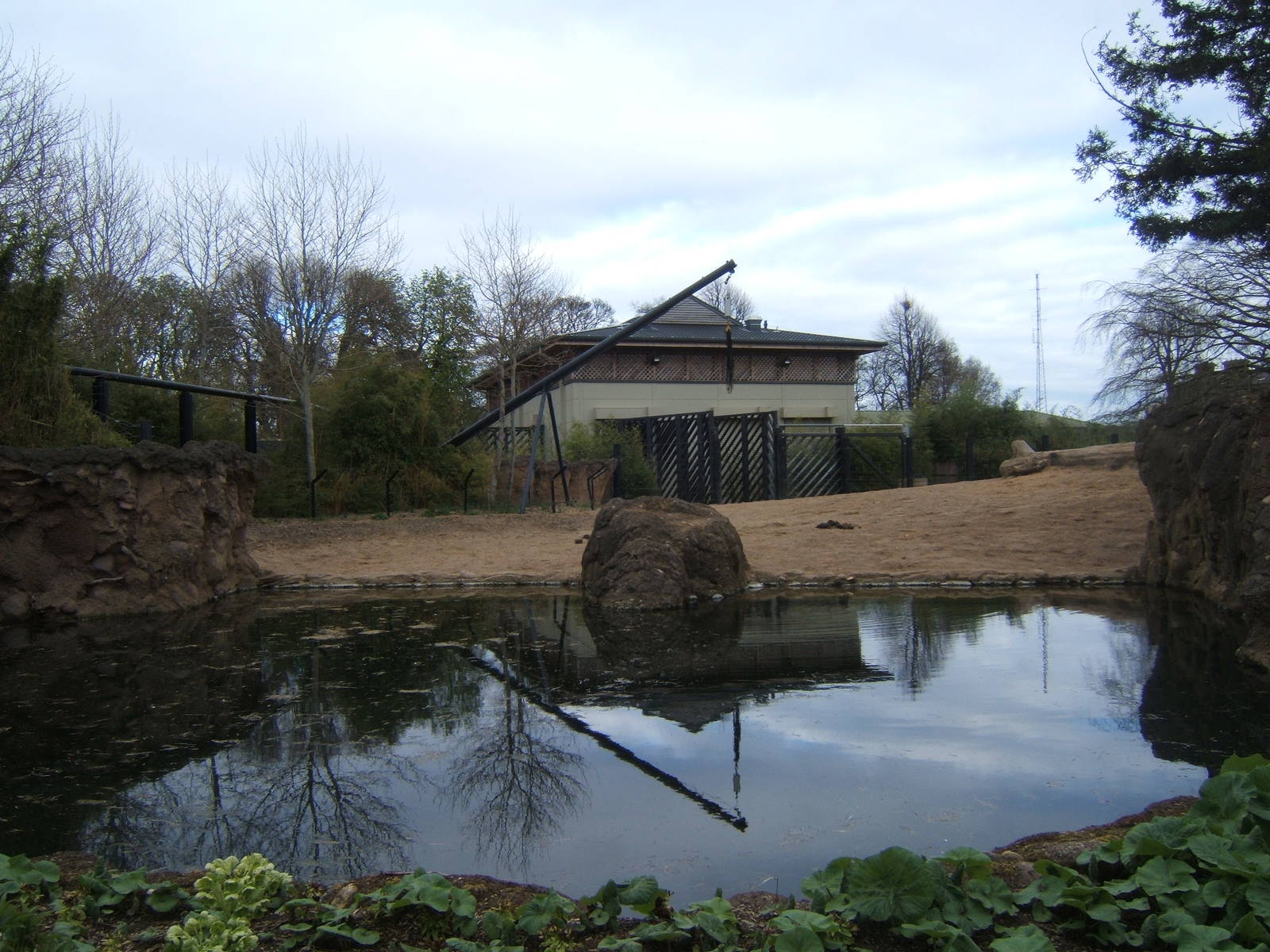 View of Bull Elephant House and enclosure