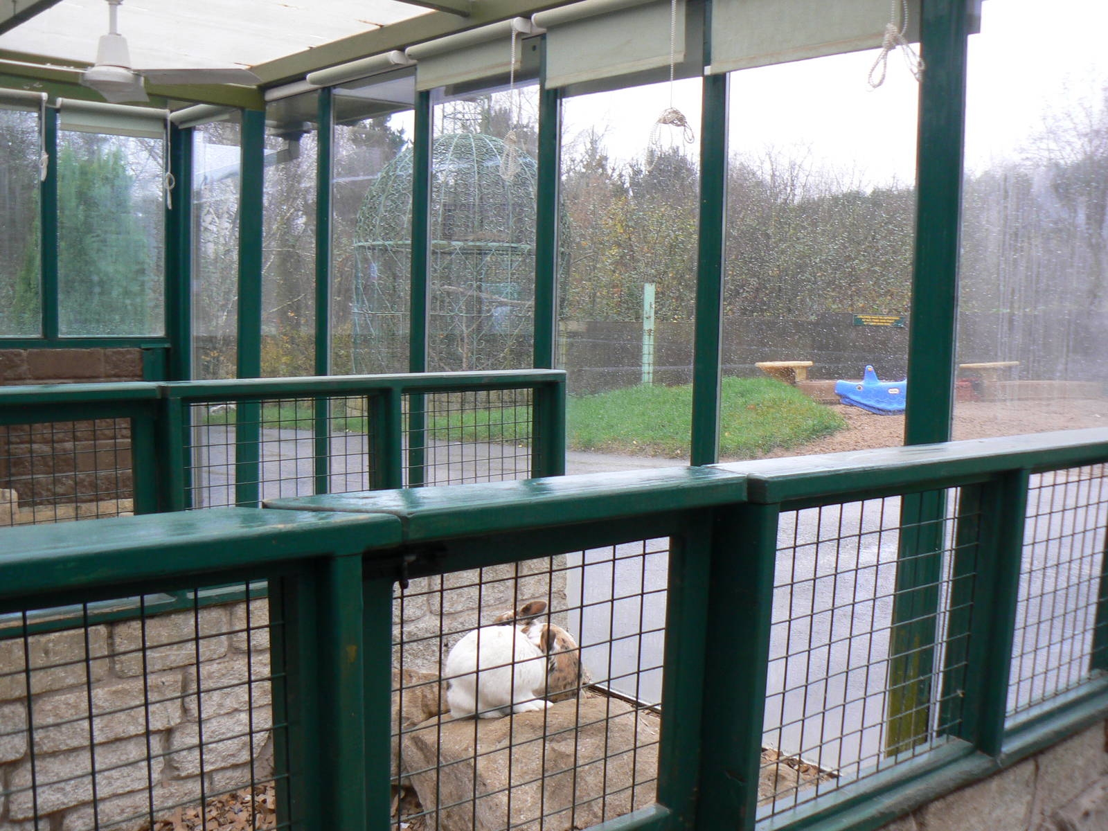 View of Bunny Barn- 28 November 2015