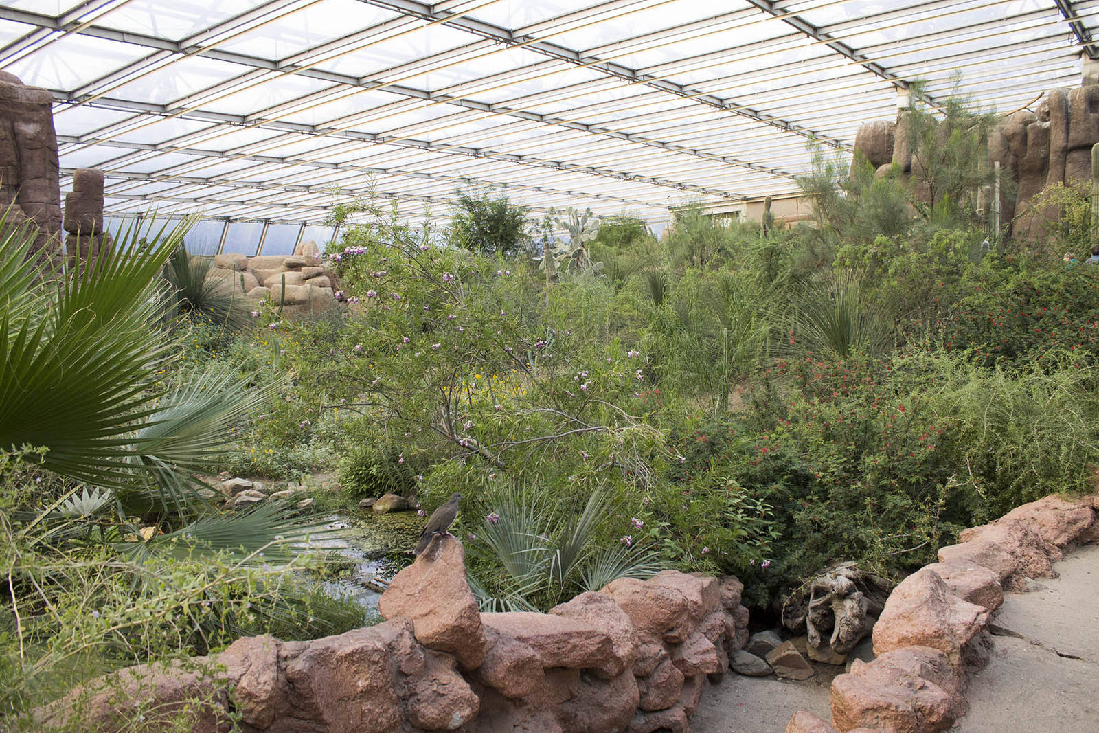 View of Burgers Desert, 8/15/14