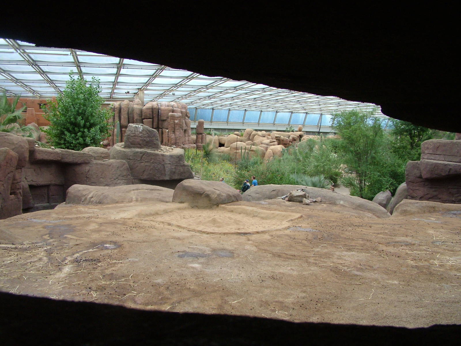 View of Burgers Desert at Burgers Zoo Arnhem, 29/08/10