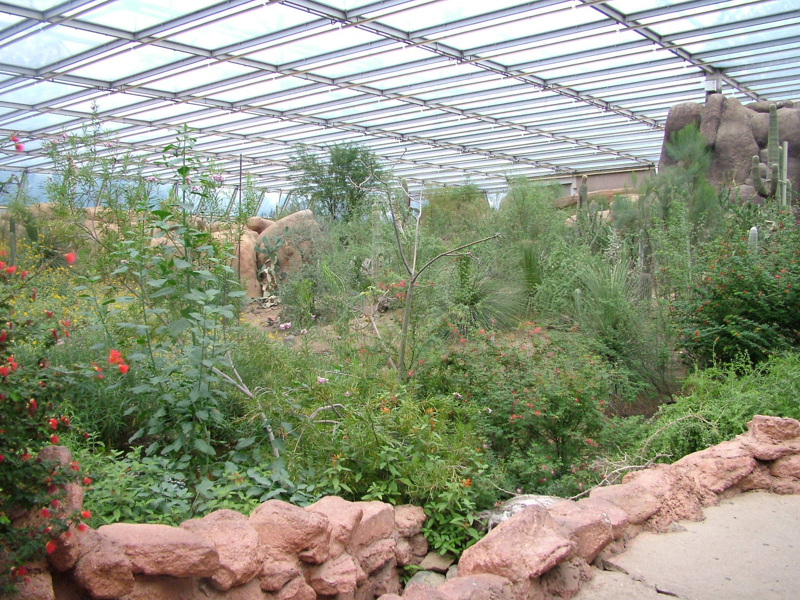 View of Burgers Desert at Burgers Zoo Arnhem, 29/08/10