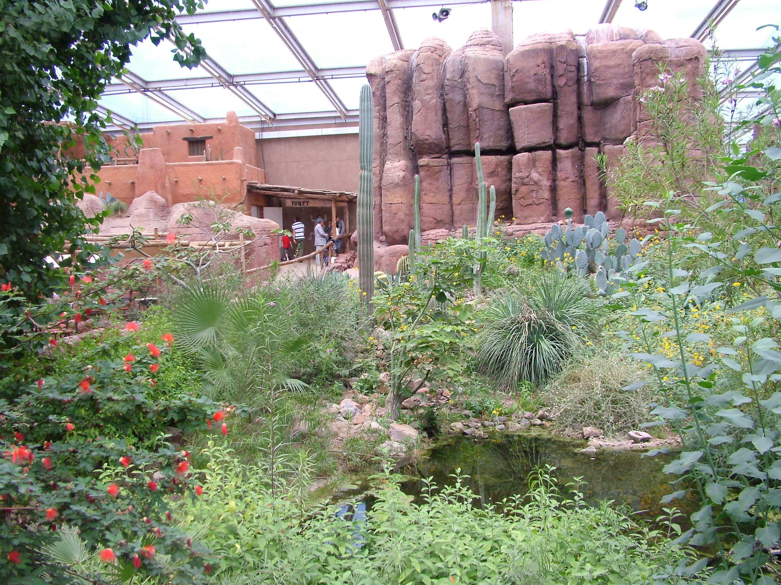 View of Burgers Desert at Burgers Zoo Arnhem, 29/08/10