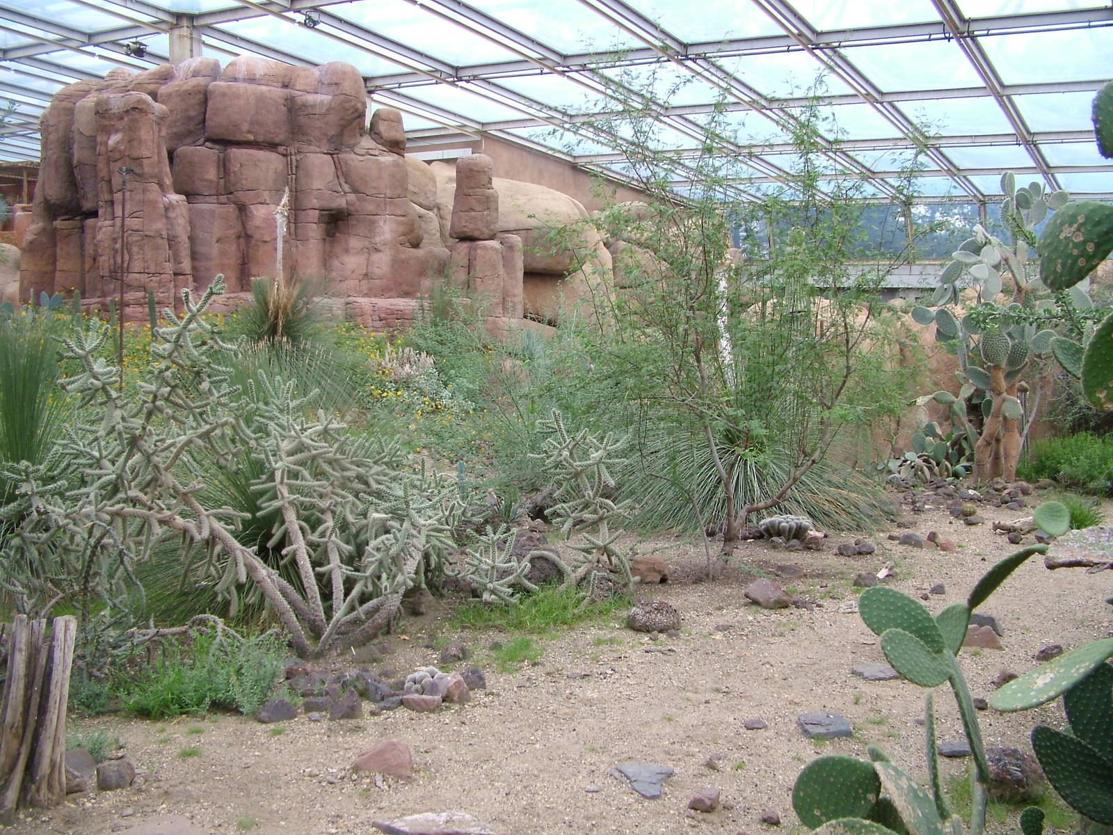 View of Burgers Desert at Burgers Zoo Arnhem, 29/08/10