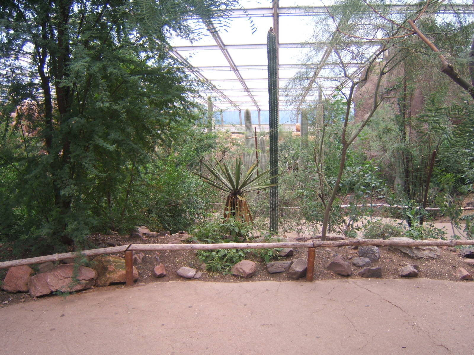 View of  Burgers Desert