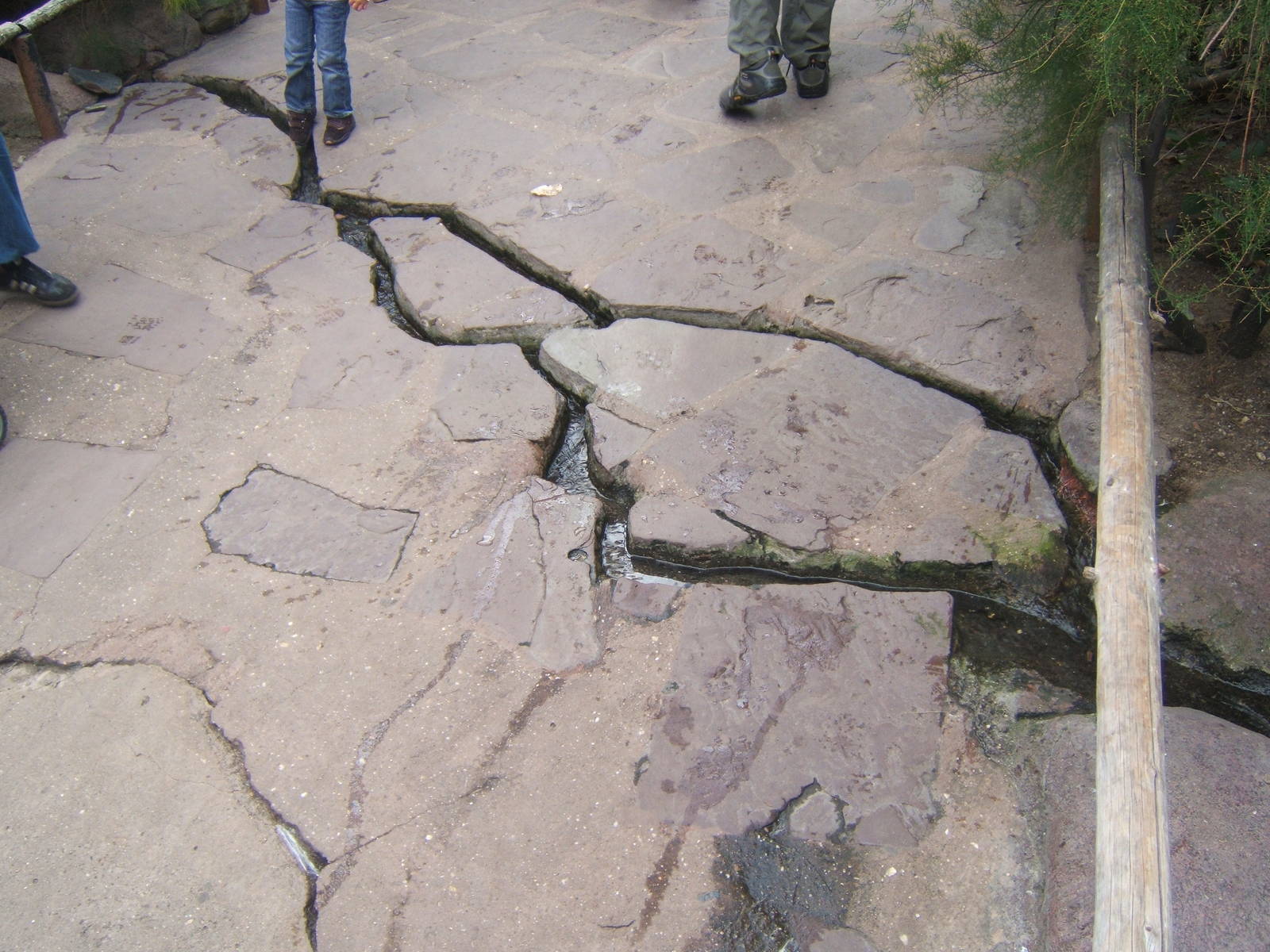 View of  Burgers Desert