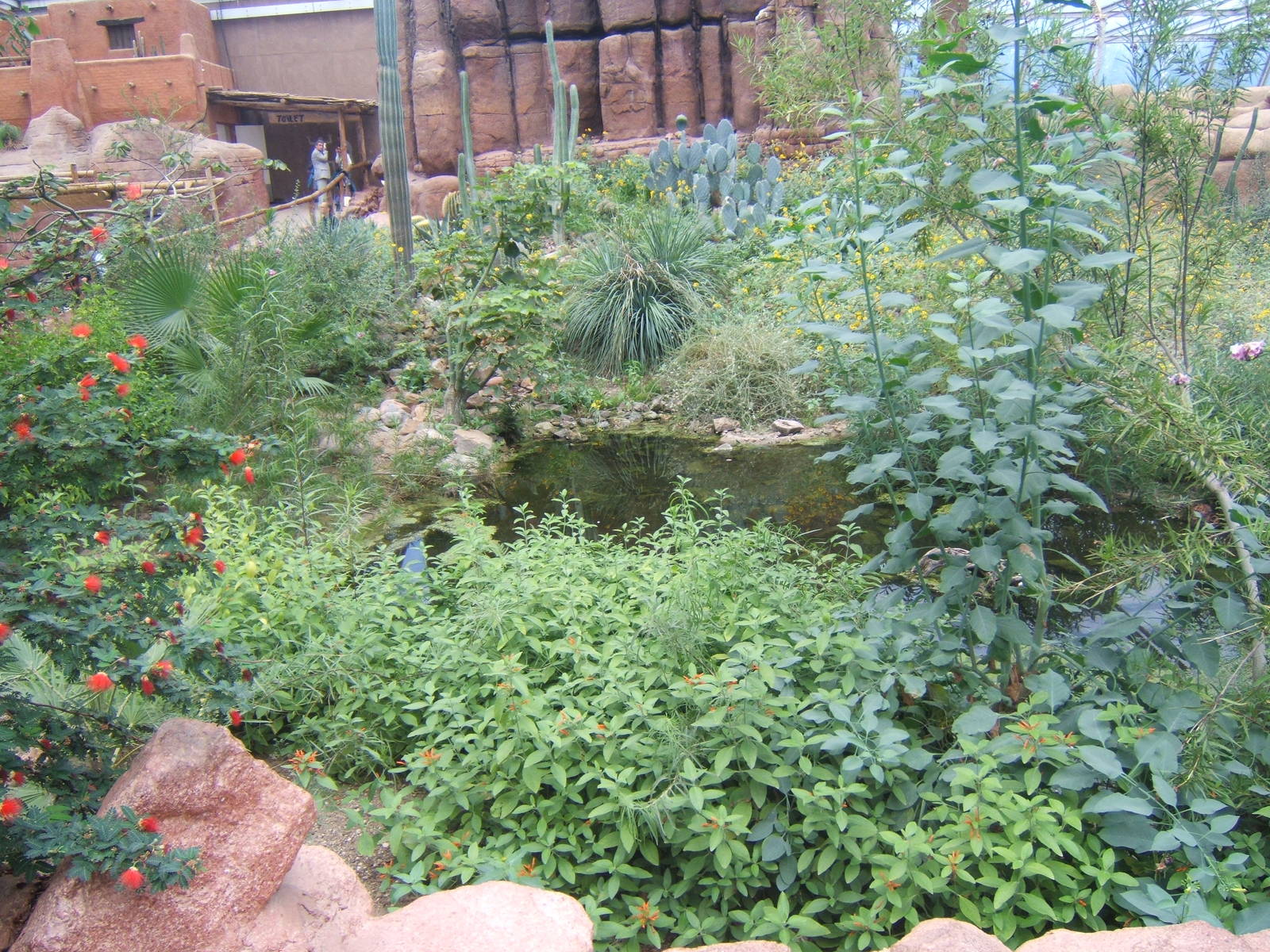 View of  Burgers Desert