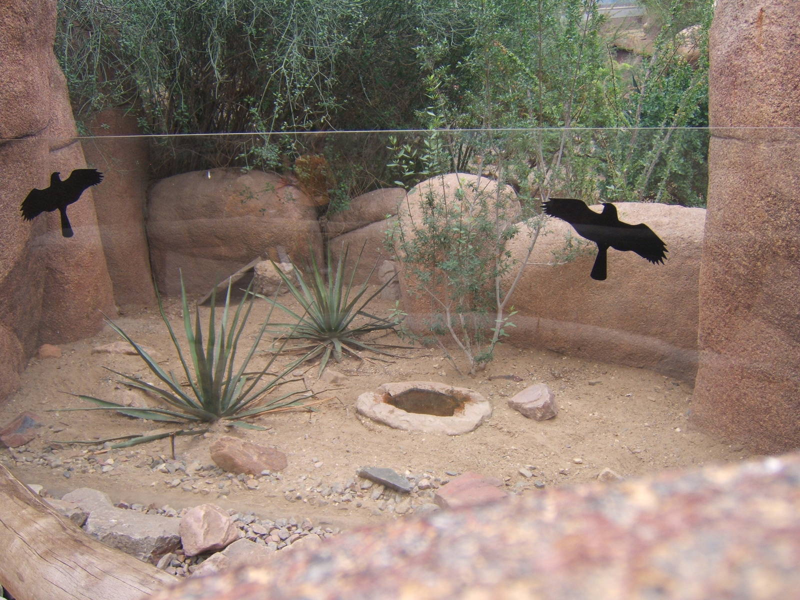 View of  Burgers Desert