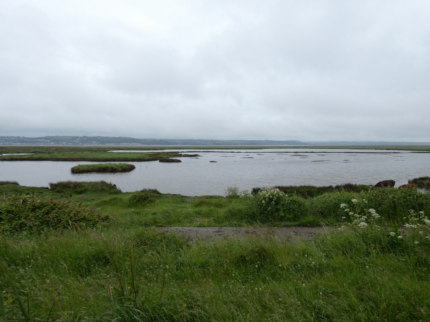 View of Burry Inlet and Loughor Estuary