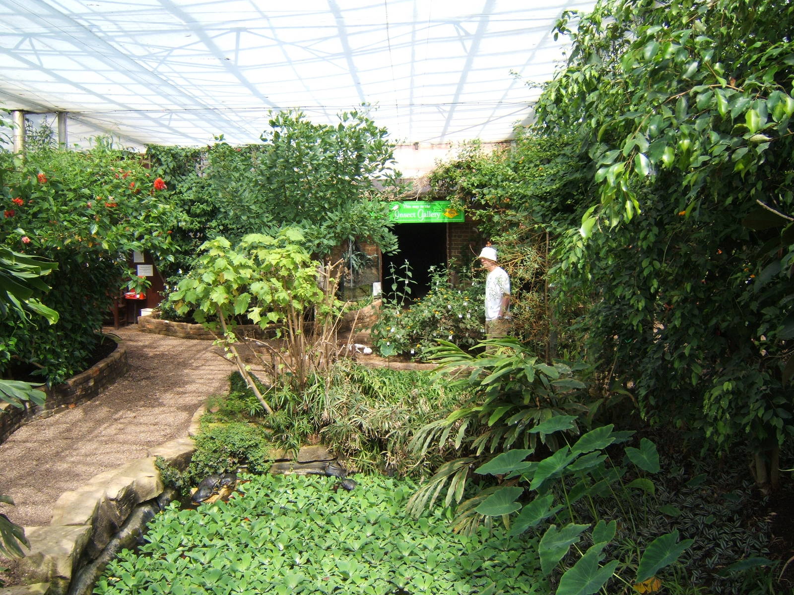 View of Butterfly House