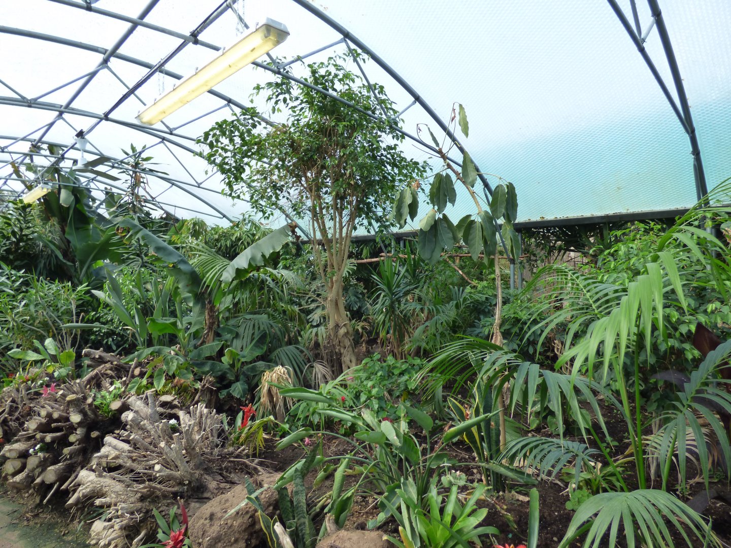 View of Butterfly Walk-through