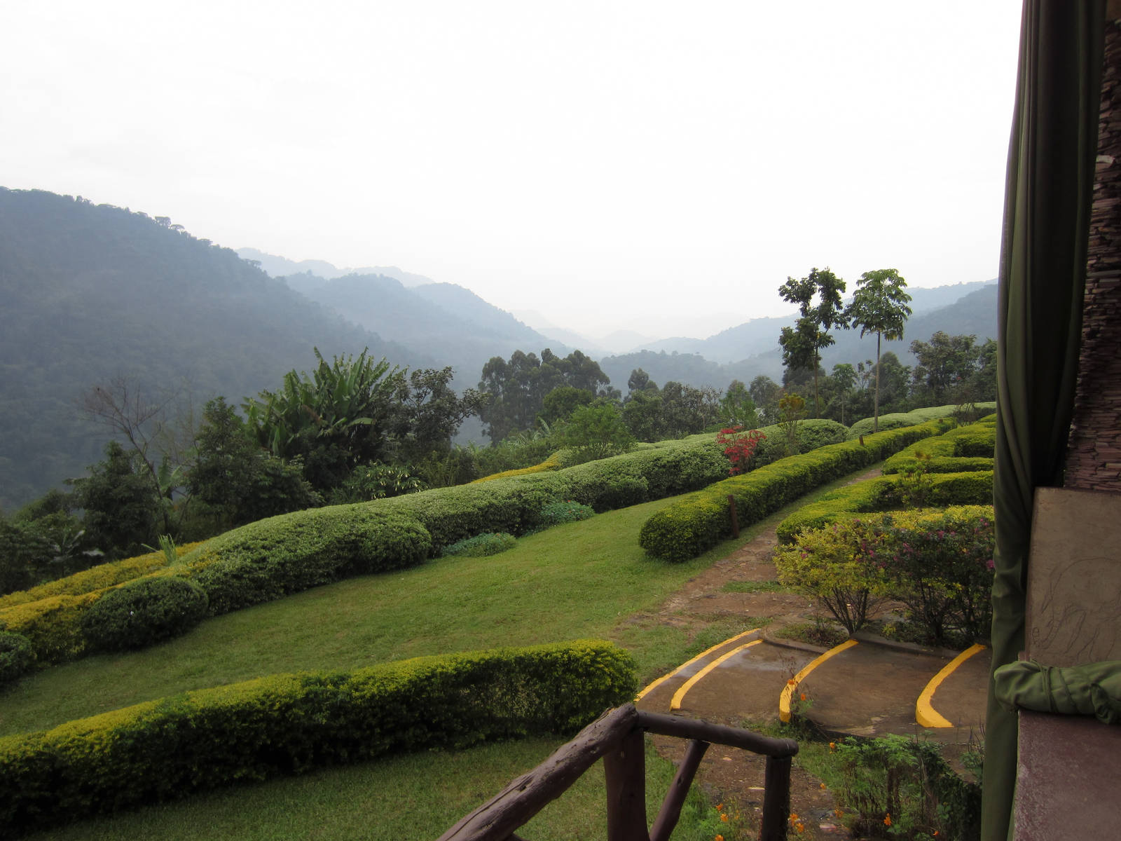 View of Bwindi National Park