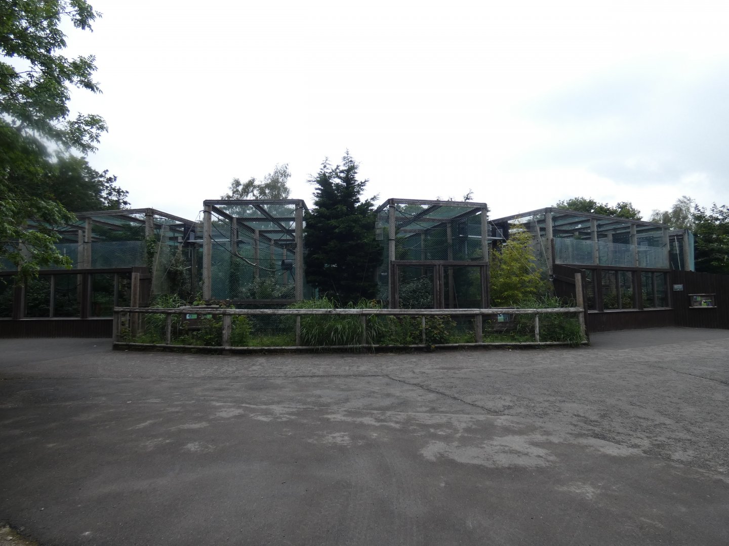 View of caged gibbon enclosures