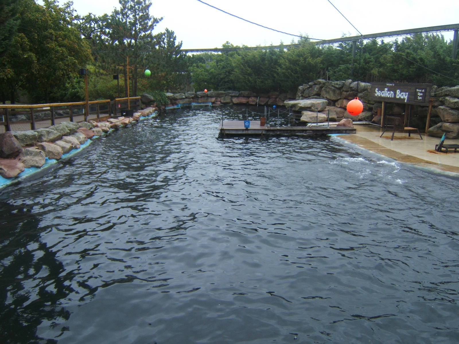 View of Californian Sealion enclosure