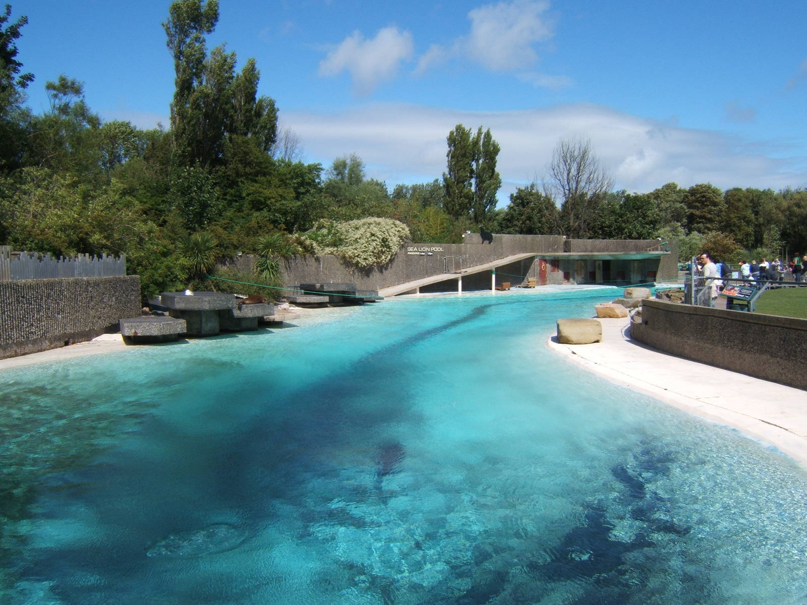 View of Californian Sealion enclosure