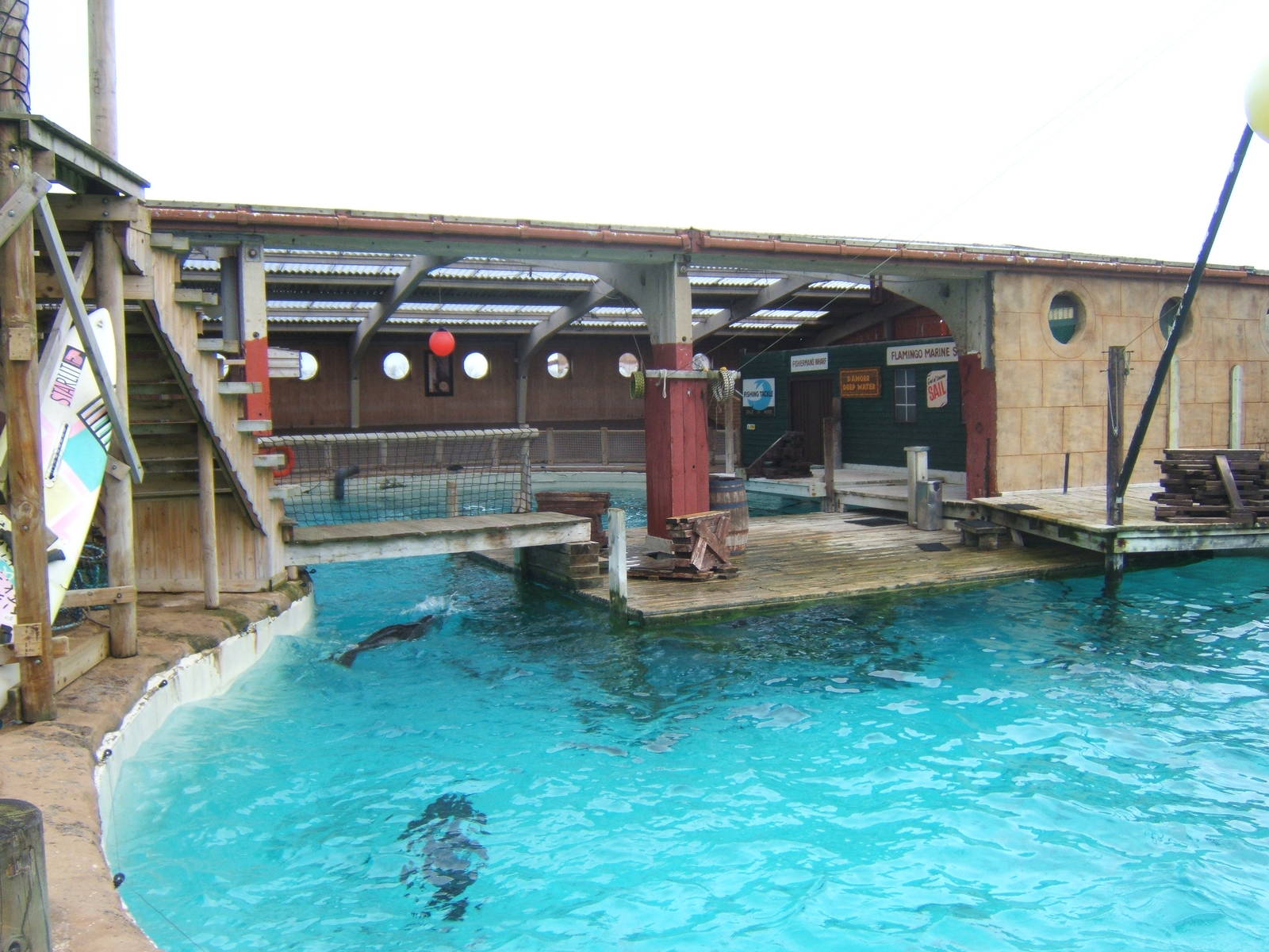 View of Californian Sealion exhibit