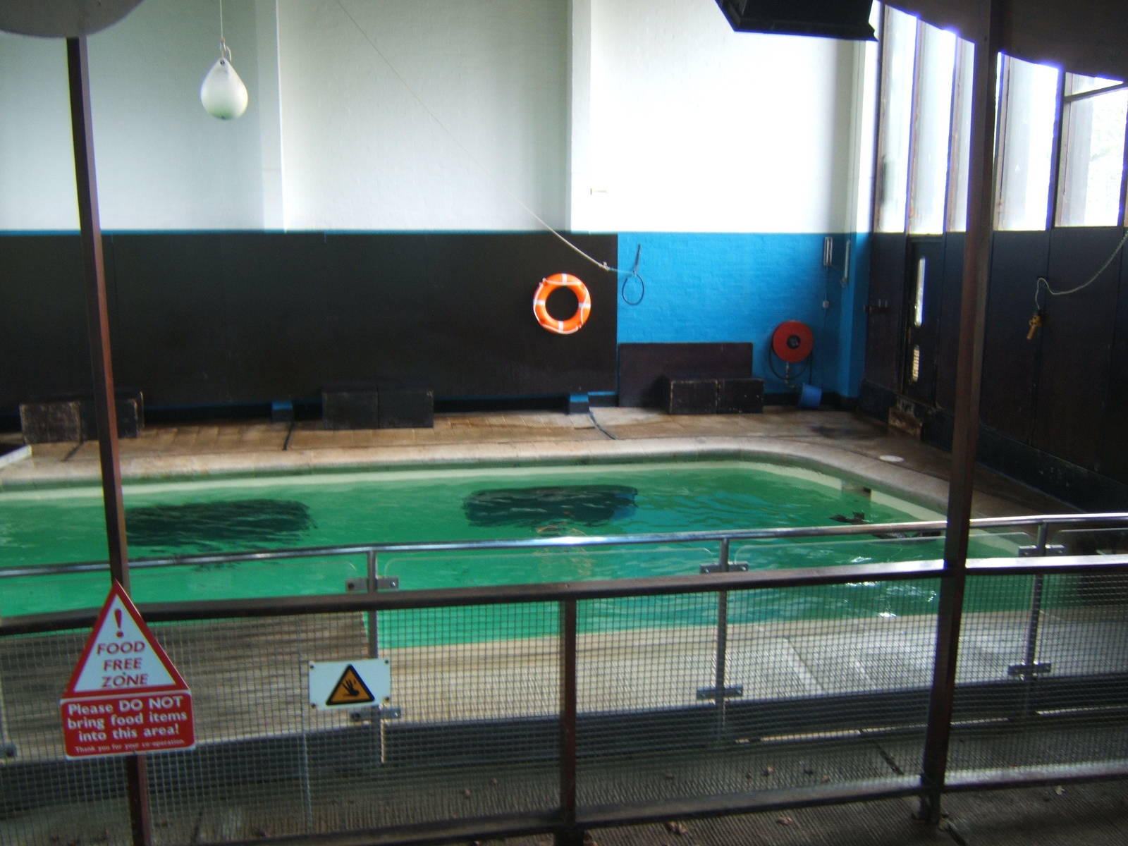 View of Californian Sealion exhibit