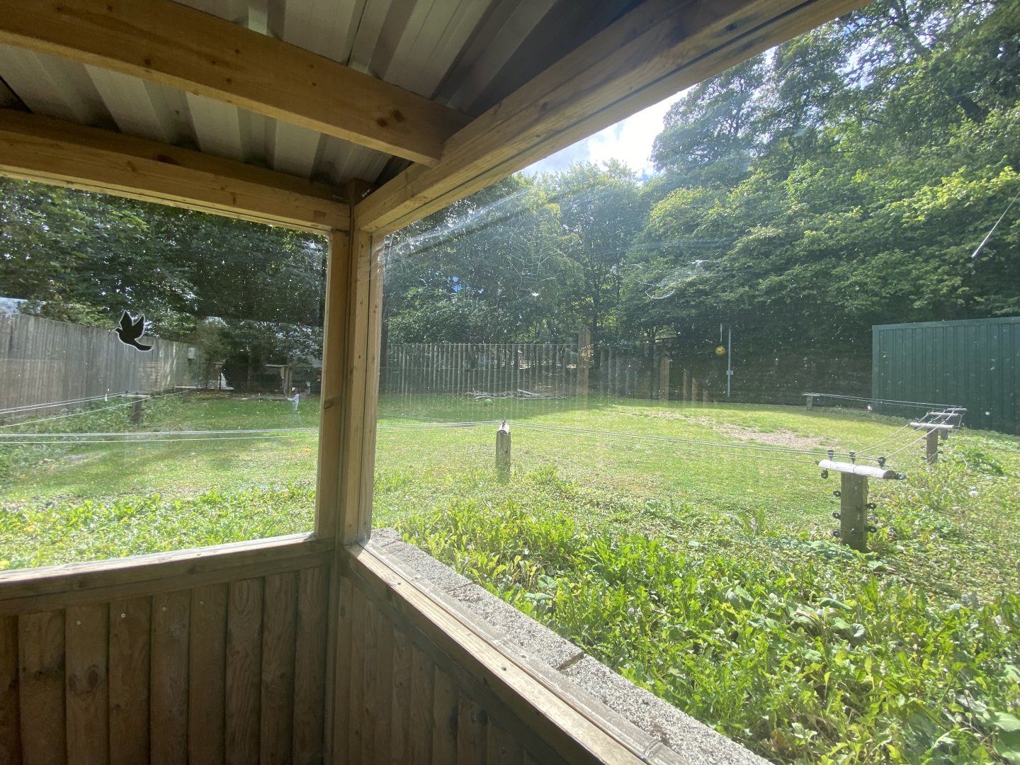 View of camel enclosure from the farm area