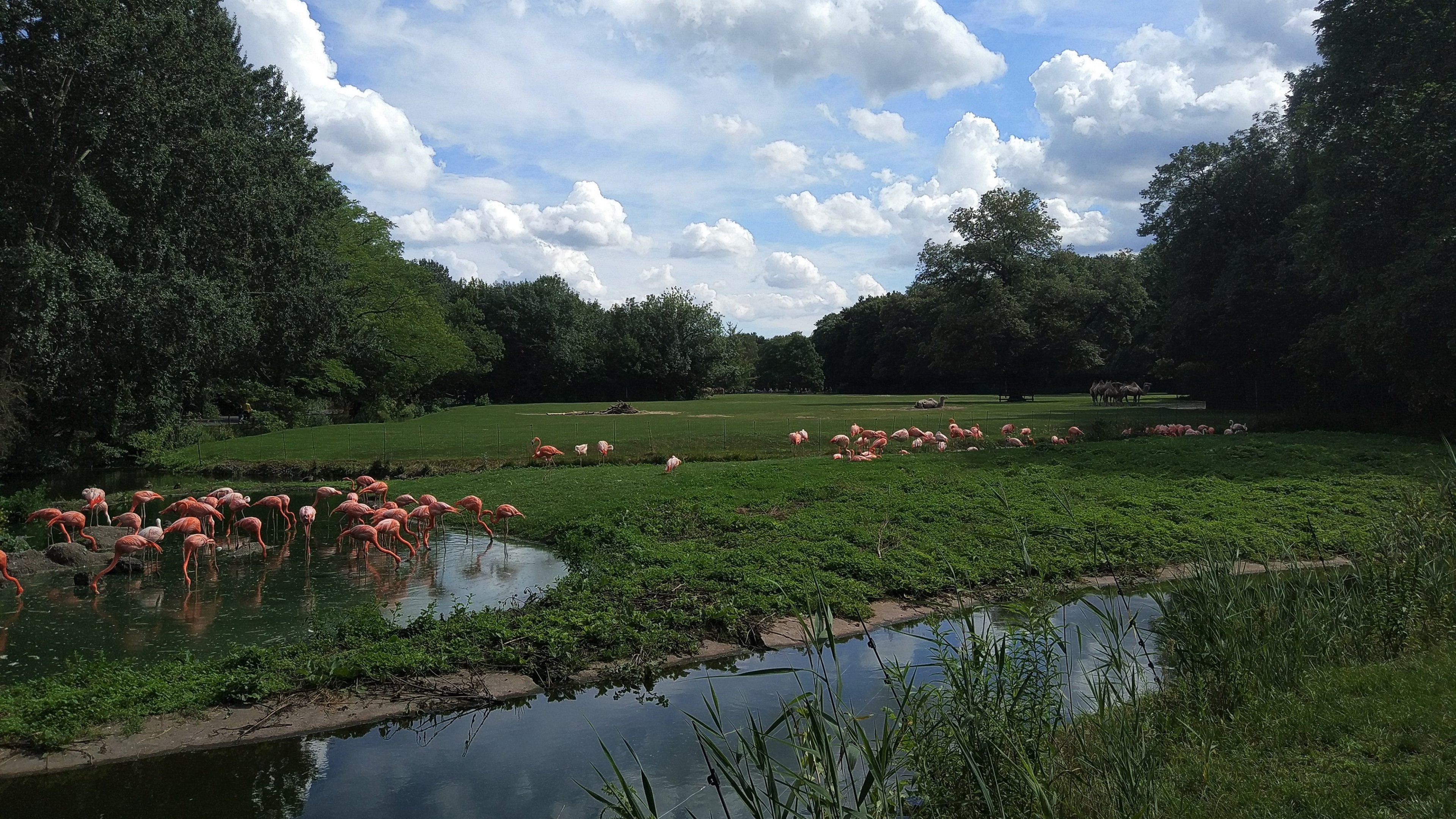 View of Camel Paddocks