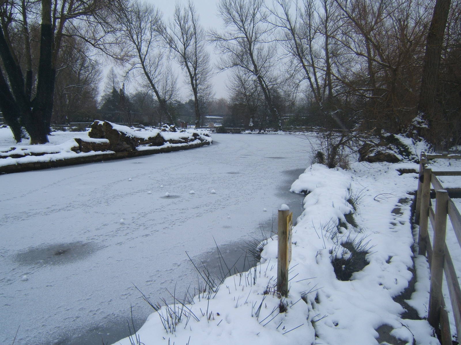 View of canal by the exit of the Butterfly House