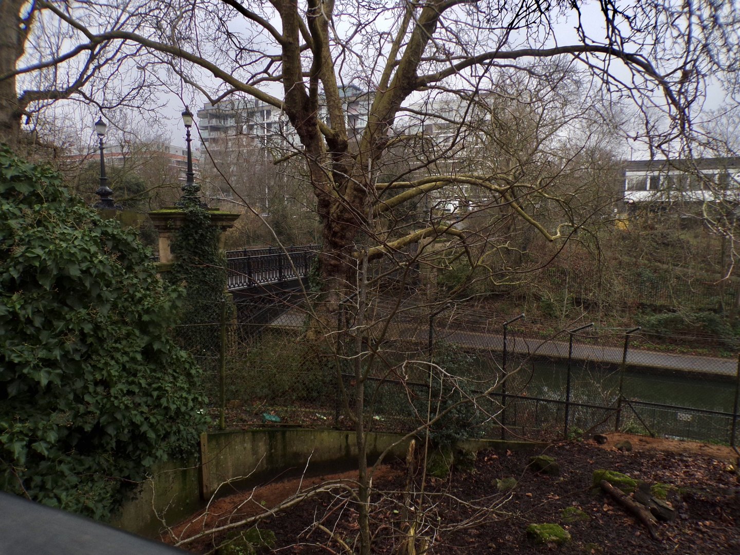 View of canal from warthog enclosure 11.2.25