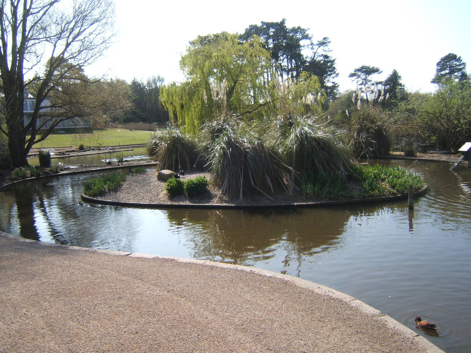 View of captive area