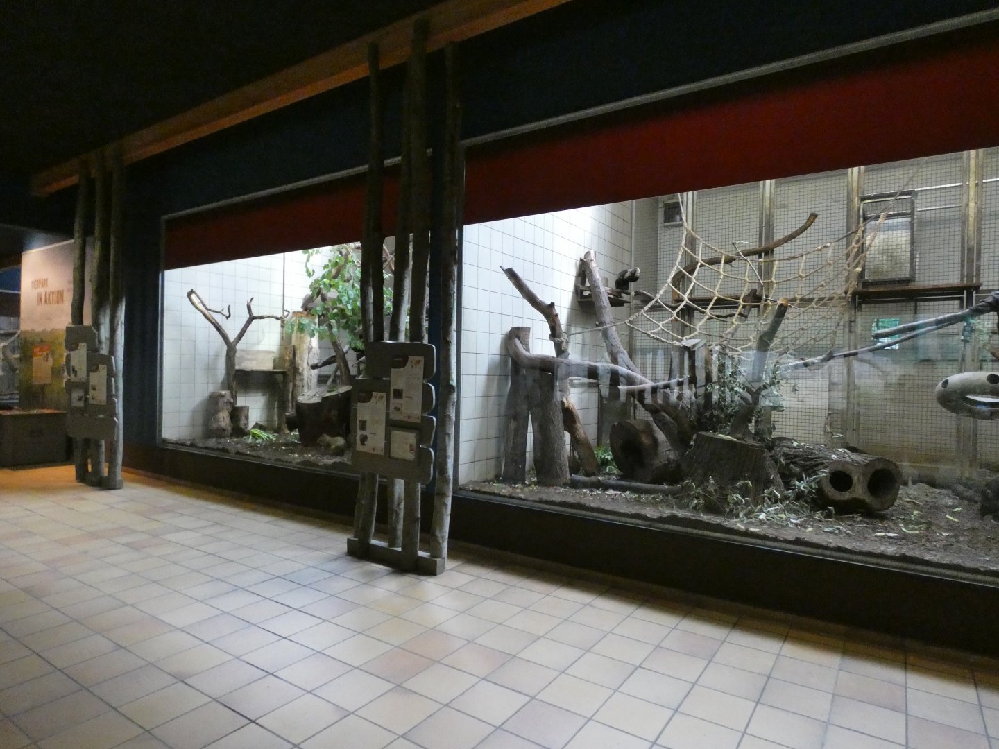 View of Capuchin and Howler Monkey indoors