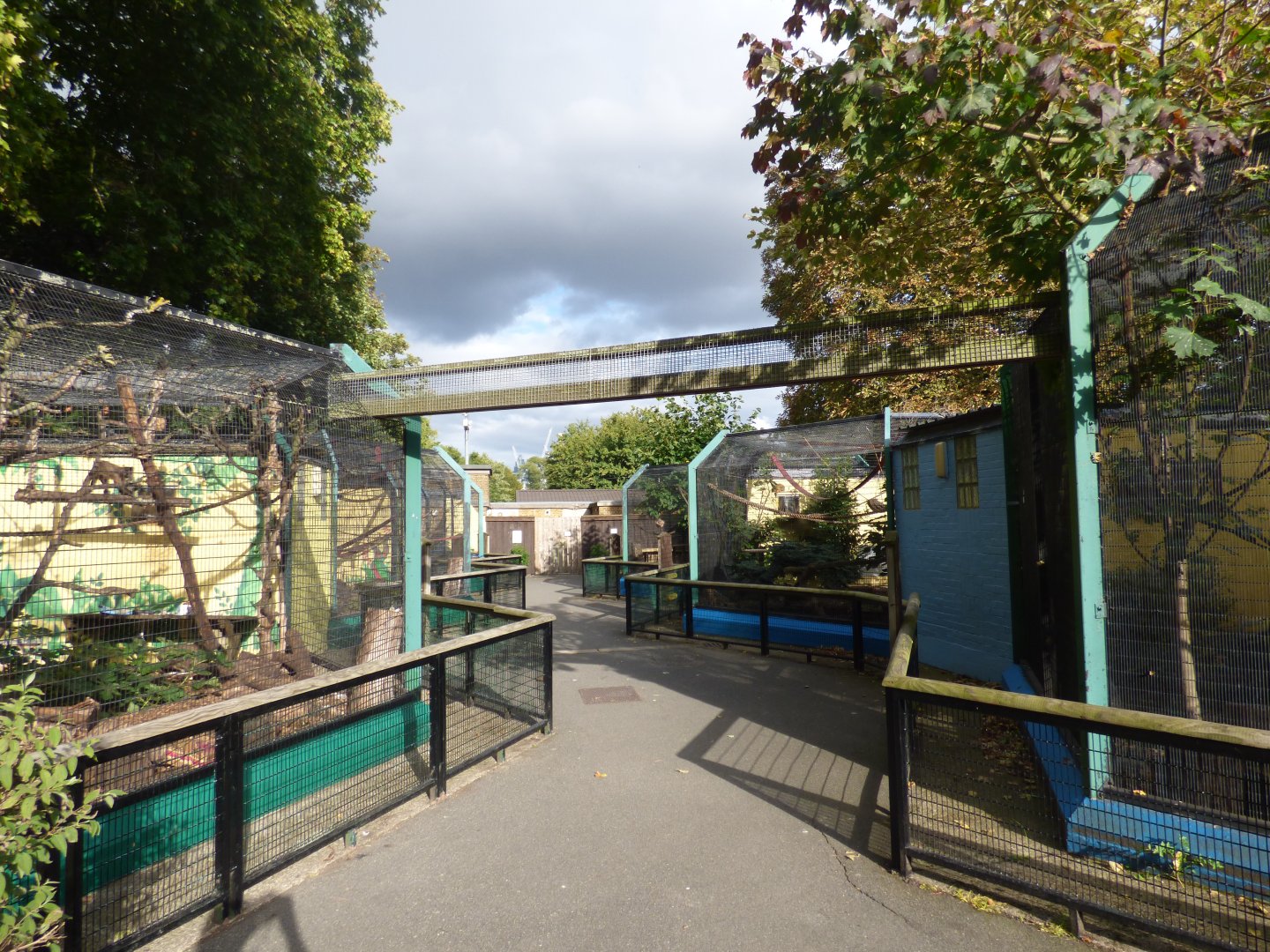 View of Capuchin and Squirrel Monkey Enclosures