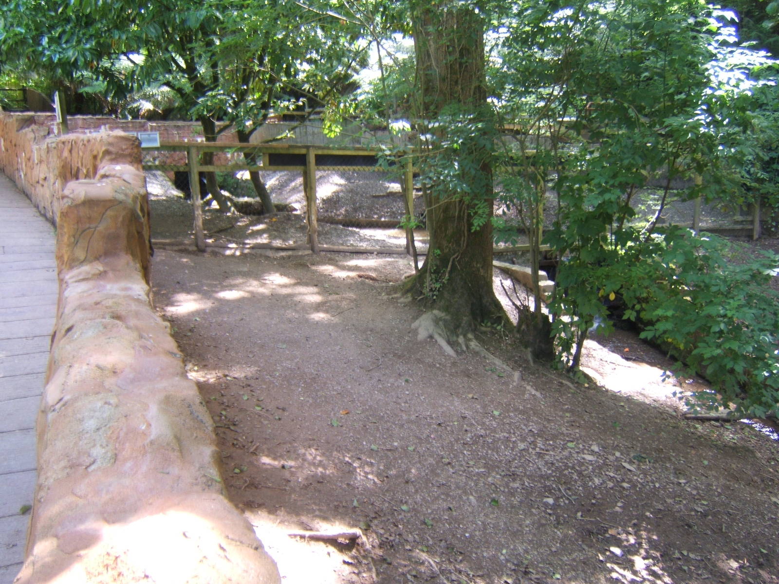 View of Capybara enclosure