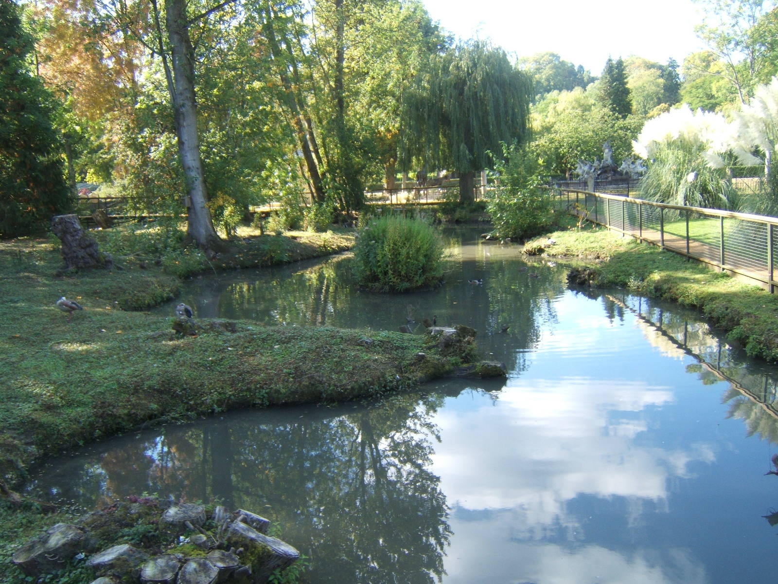 View of Capybara enclosure