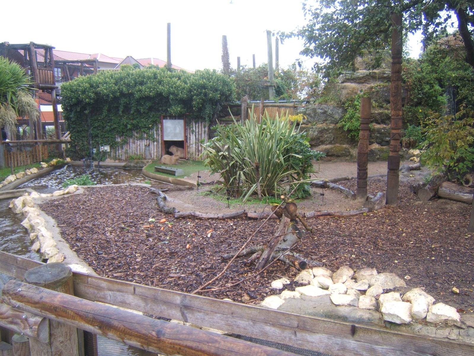 View of Capybara enclosure