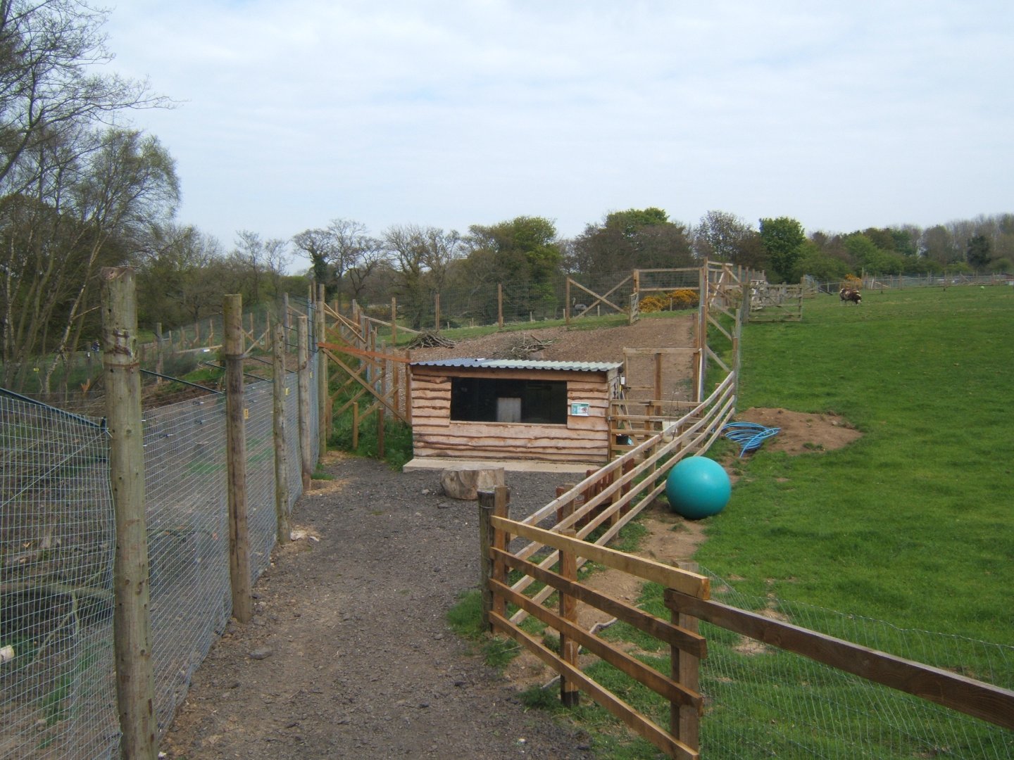 View of Capybara House