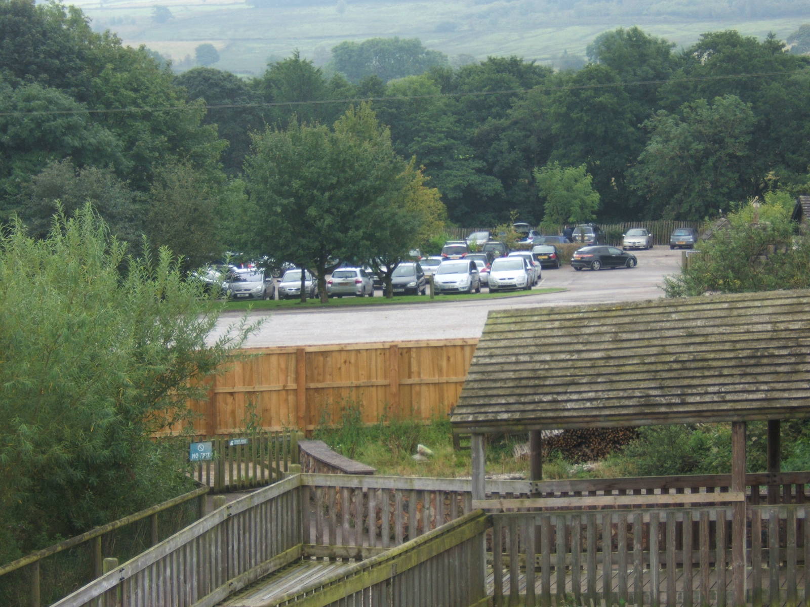 View of car park from the penguin viewing