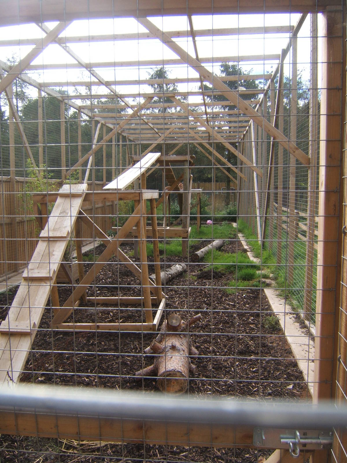 View of Caracal enclosure
