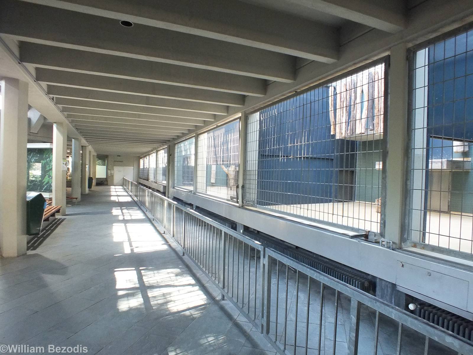 View of Carnivore Indoor Enclosures