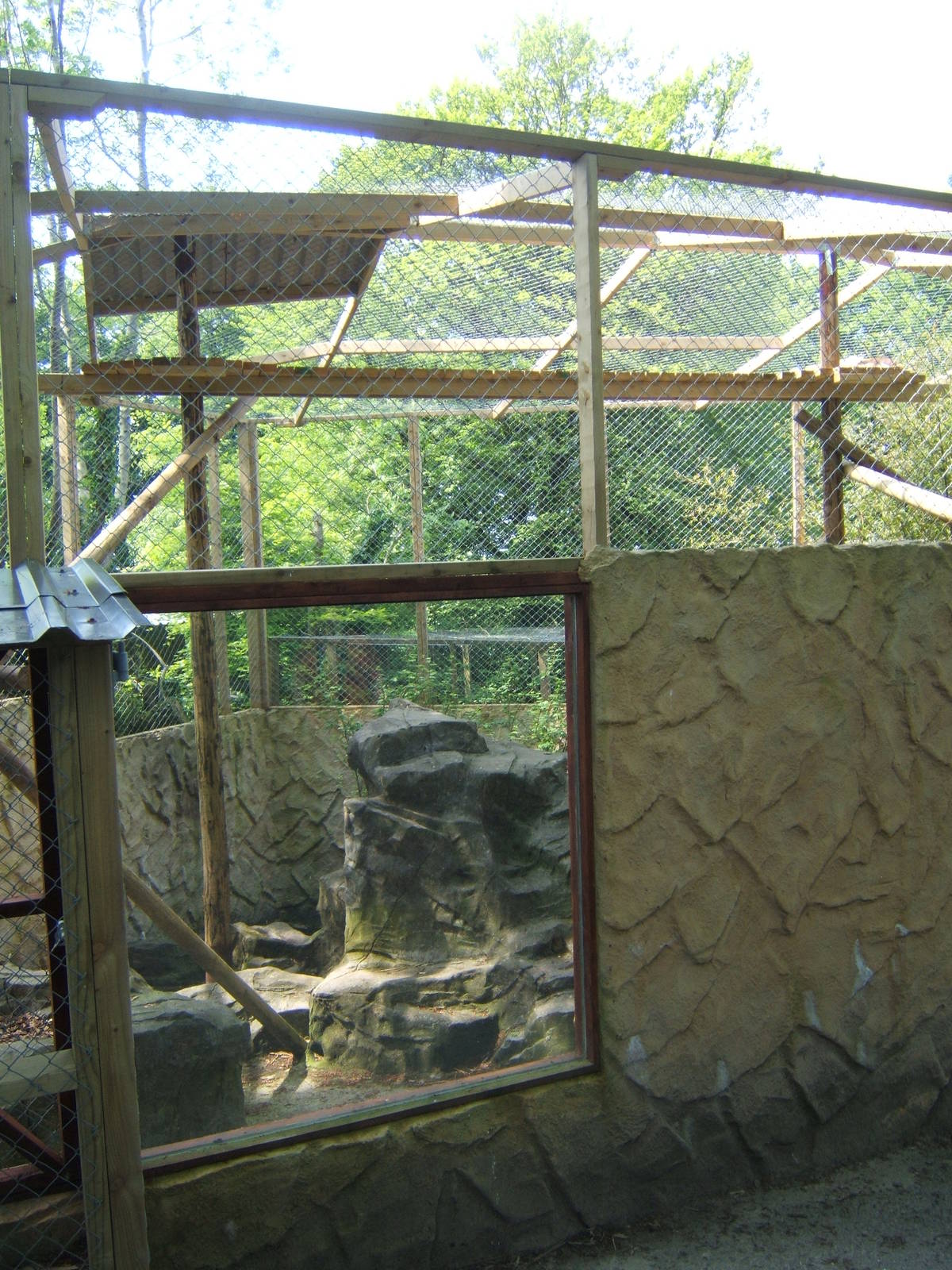 View of Carpathian Lynx encolsure