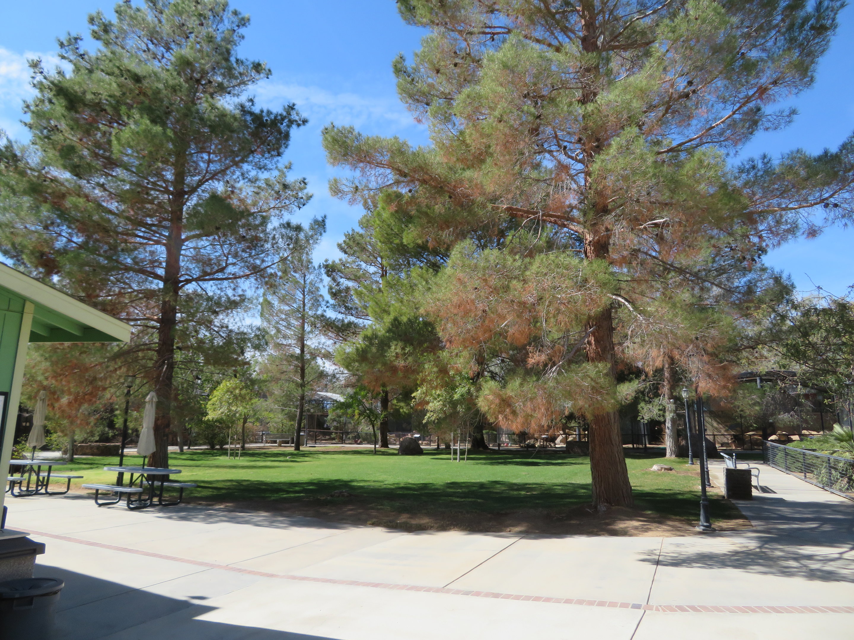 View of Center (2022)