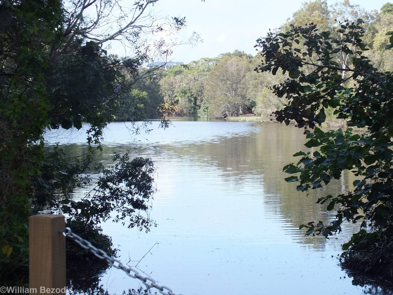 View of Central Lake Area