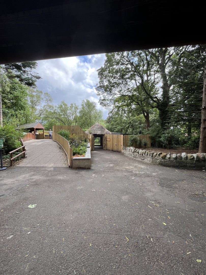View of cheetah enclosure and housing 22.6.25
