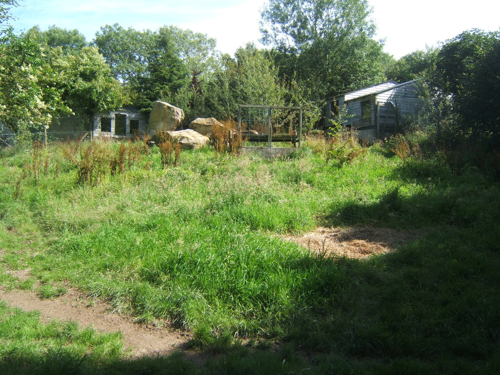View of Cheetah enclosure