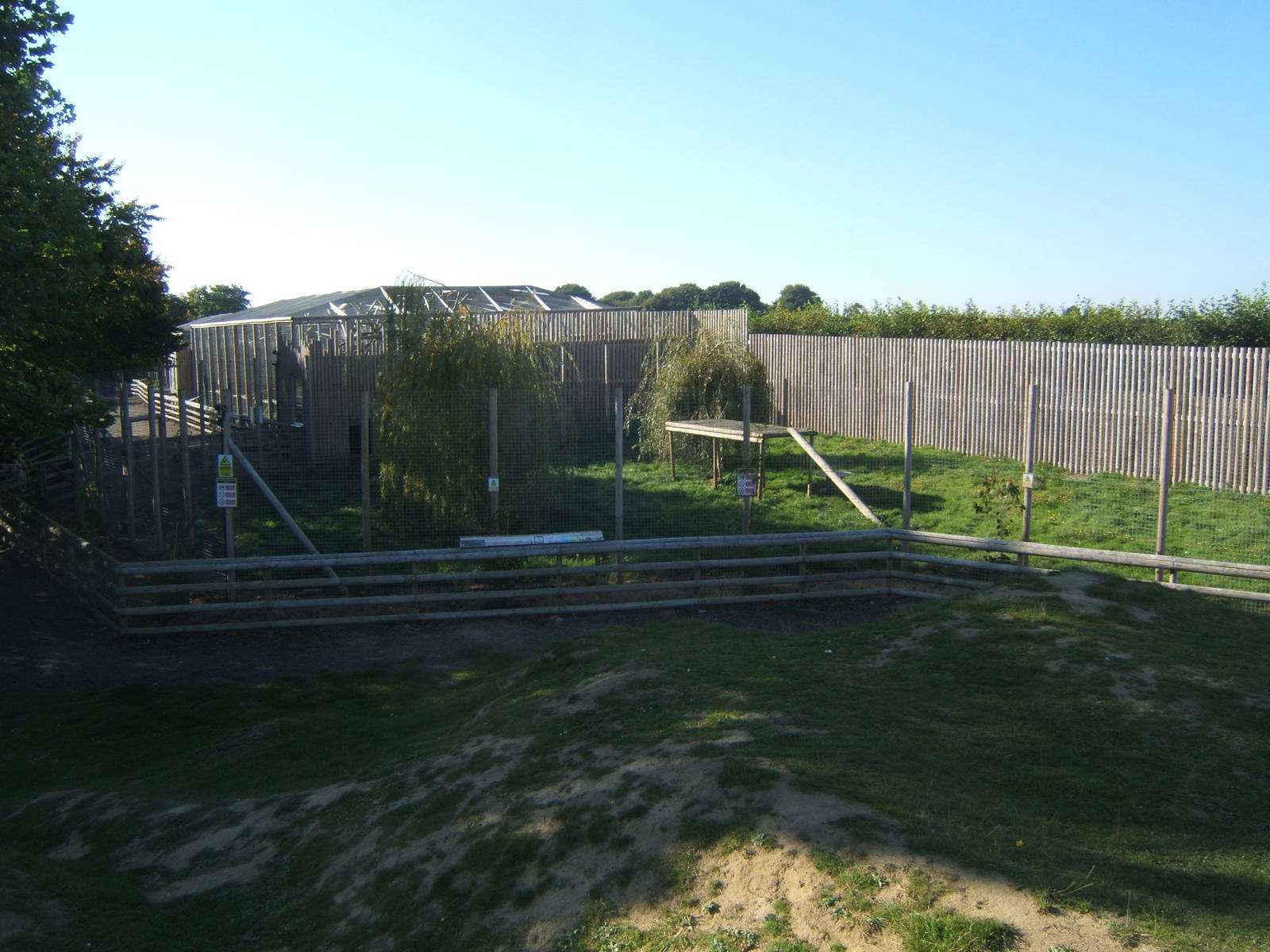 View of Cheetah enclosure
