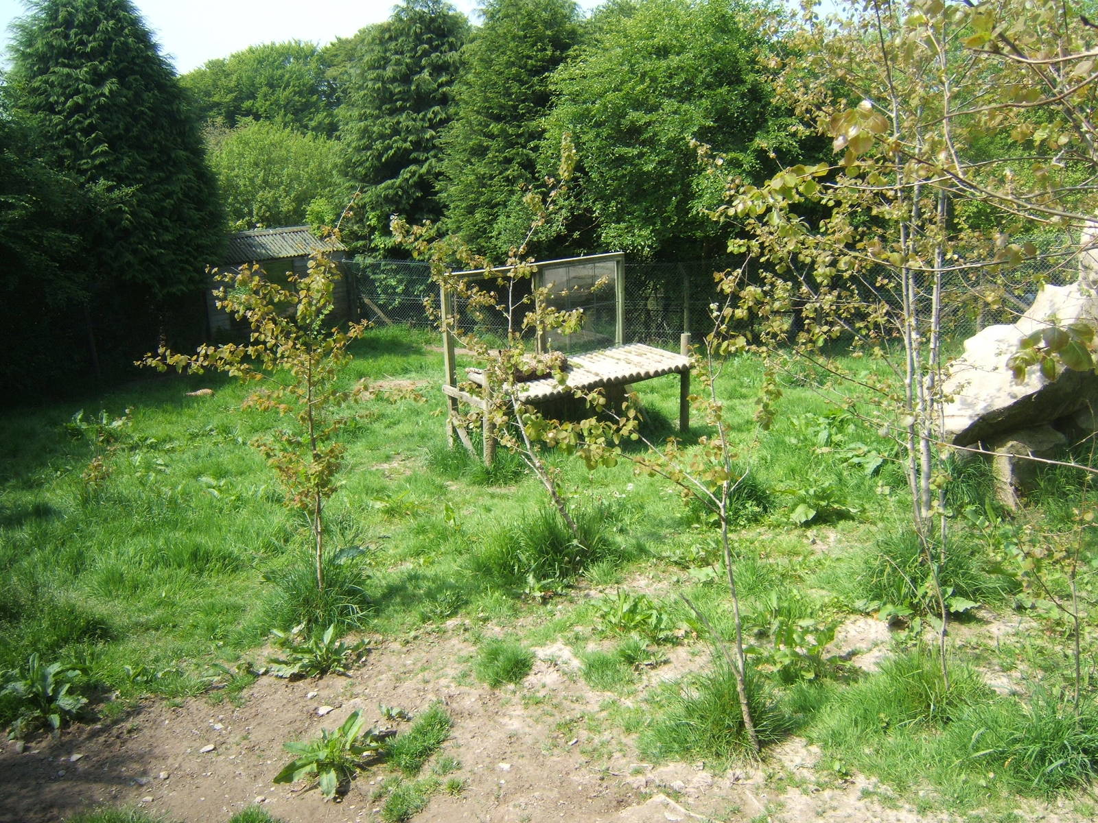 View of Cheetah enclosure